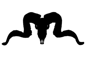 Black vector ram skull silhouette.