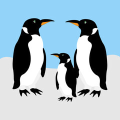 3 penguins on gray snow and blue sky illustration