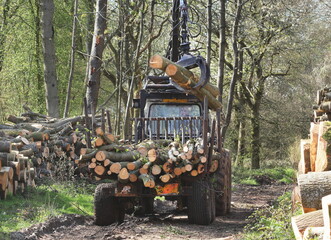 Logging machinery at work