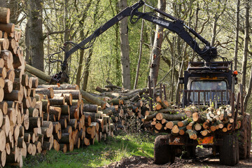 Logging machinery at work