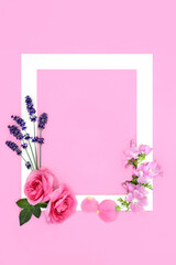 Summer flowers for natural skincare herbal plant medicine. Lavender rose and mallow wildflowers. Flower remedy to treat treats acne, psoriasis, eczema and skin irritation. Pink background, white frame