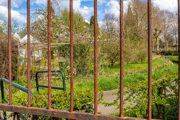 Pedestrian path between back gardens of houses seen through rusty metal gate, bare and flowering trees in background against blue sky and white clouds, sunny day in the Netherlands