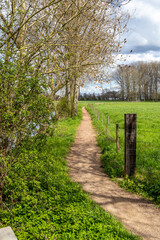 Fototapeta premium Narrow hiking trail along a stream and farmland with bare trees in background against sky covered with white clouds, green grass covering ground, sunny spring day in the Netherlands