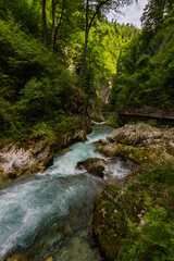 View of Vintgar gorge walk in Slovenia