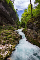 View of Vintgar gorge walk in Slovenia