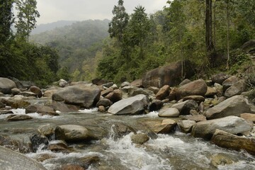 rapids of jhalong river