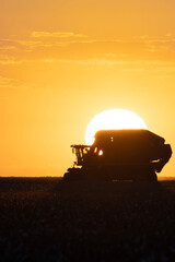 Fototapeta na wymiar sunset during harvest