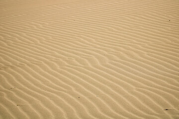 textura dunas del desierto calor