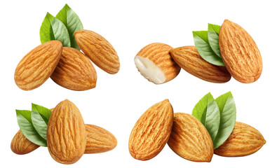 Set of delicious almonds cut out