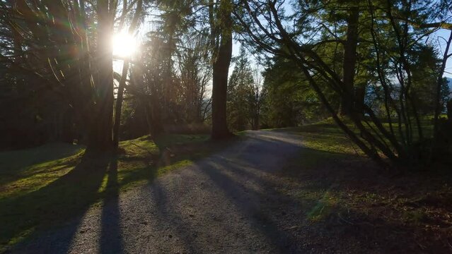 Hiking Trail on top of Burnaby Mountain during Sunny Spring Season Sunset. Vancouver, British Columbia, Canada.