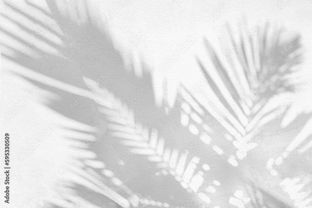 Poster Grey shadow of natural palm leaf and tree abstract background falling on white wall texture for background and wallpaper. Tropical palm leaves foliage shadow overlay effect, foliage mockup and design