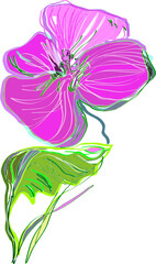 hand drawn flower from memories about Thailand trip