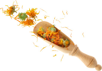 Wooden scoop of dried calendula flowers, isolated on white background. Petals of calendula flowers for making healthy herbal tea. Top view. - obrazy, fototapety, plakaty