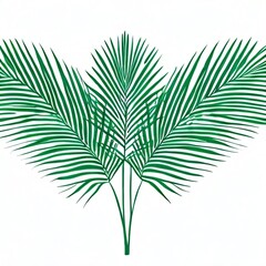 palm tree silhouette