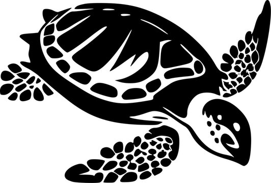 Sea Turtle - High Quality Vector Logo - Vector illustration ideal for T-shirt graphic