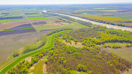 Aerial view over landscape vegetation, forest trees next to the river Tisza