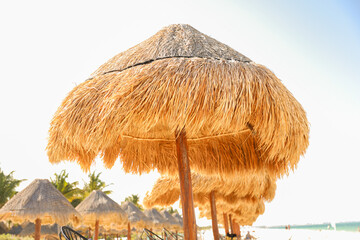 palapa sun roof beach umbrella by the beach symbolizes relaxation, shade, and protection. It...