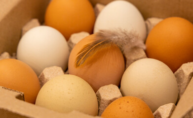 Fresh chicken eggs in colorful cardboard trays on a beautiful background. Raw organic hen eggs with brown shell as protein ingredient for healthy eating and breakfast. Farm eggs for Easter.