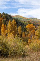 Autumn in Western Colorado