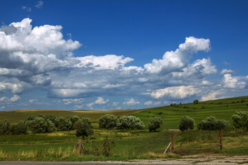 Beautiful summer landscape: valley - meadows with green grass, trees and mountains, white clouds on blue sky.