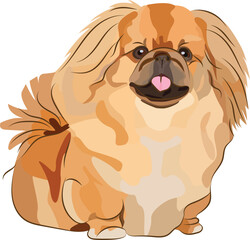 Smiling Pekingese dog. Cute pet logo design, breed small-size dog. Pet character postcard art, greeting card. Funny dog mascot. Cartoon character.