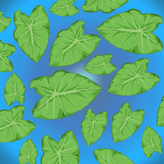 green taro leaves background