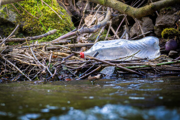 Single empty plastic bottle discarded next to river among sticks in forest