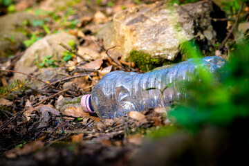Single empty plastic bottle discarded among leaves in forest