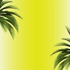 Green tropical palm leaves on a yellow background. A simple beautiful summer concept	