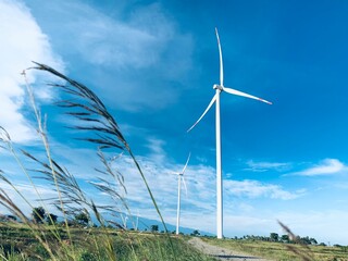 Wind turbines in a field with the sky in the background