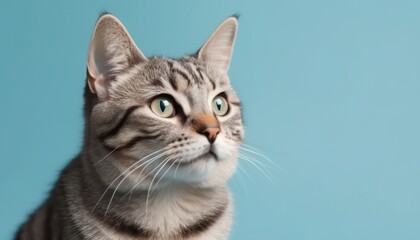 Portrait of a beautiful cat close up. Generative AI