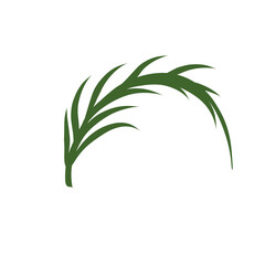 Fototapeta na wymiar Palm Leaf vector