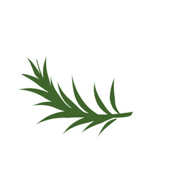 Palm Leaf vector