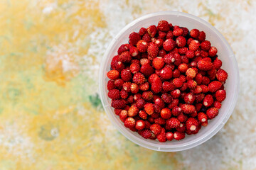Ripe wild strawberries in a bowl. Natural berries are a source of vitamins and are good for health.Fresh Organic Strawberries.Summer harvesting concept.healthy detox food
