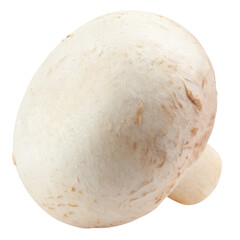 champignon, mushroom, isolated on white background, full depth of field