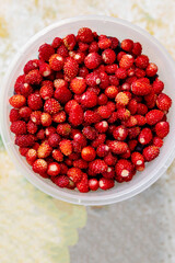 Ripe wild strawberries in a bowl. Natural berries are a source of vitamins and are good for health.Fresh Organic Strawberries.Summer harvesting concept.healthy detox food