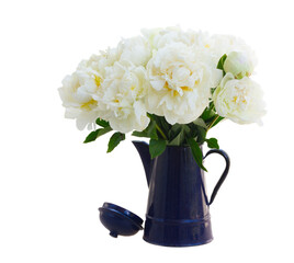 White peony flowers
