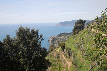 Fototapeta na wymiar The panorama of CInque Terre national park and Corniglia village, Italy