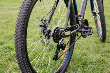 Bicycle gears, disc brake and rear derailleur. The switches are on the steering wheel