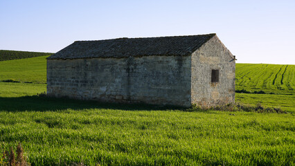 Capannone abbandonato in un prato d'erba verdeggiante.