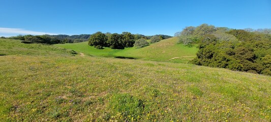 Obraz premium landscape in the mountains