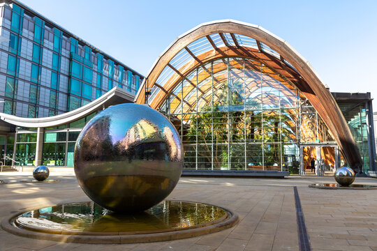 Winter Garden - One of the largest temperate glasshouses in Sheffield, UK
