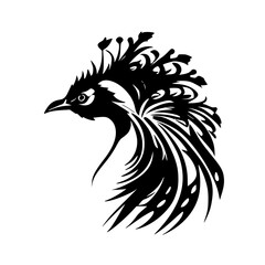 Obraz premium Peacock | Black and White Vector illustration