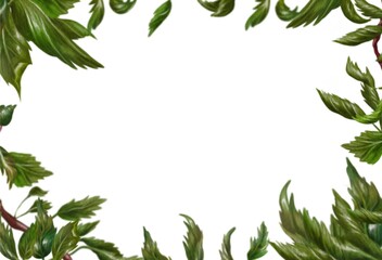 Fototapeta premium Apple tree leafs frame decor