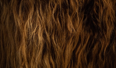 Naklejka premium Brown hair texture, abstract background