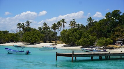 Caribbean Island of Cayo Levantado in Samana Bay, Dominican Republic