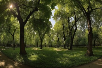 Fototapeta na wymiar Photo of green park foliage in a panoramic view. Generative AI