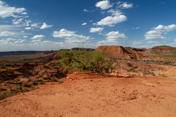 Panorama view of the arid desert, red sandstone, canyon and hills.