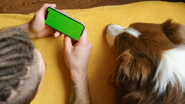 Young man lying on yellow blanket on bed with dog using smartphone to watch movie. Green screen, horizontal mockup for advertising. Pet owner resting with Australian Shepherd dog inside.
