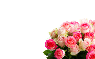 Obraz na płótnie Canvas fresh rose flowers